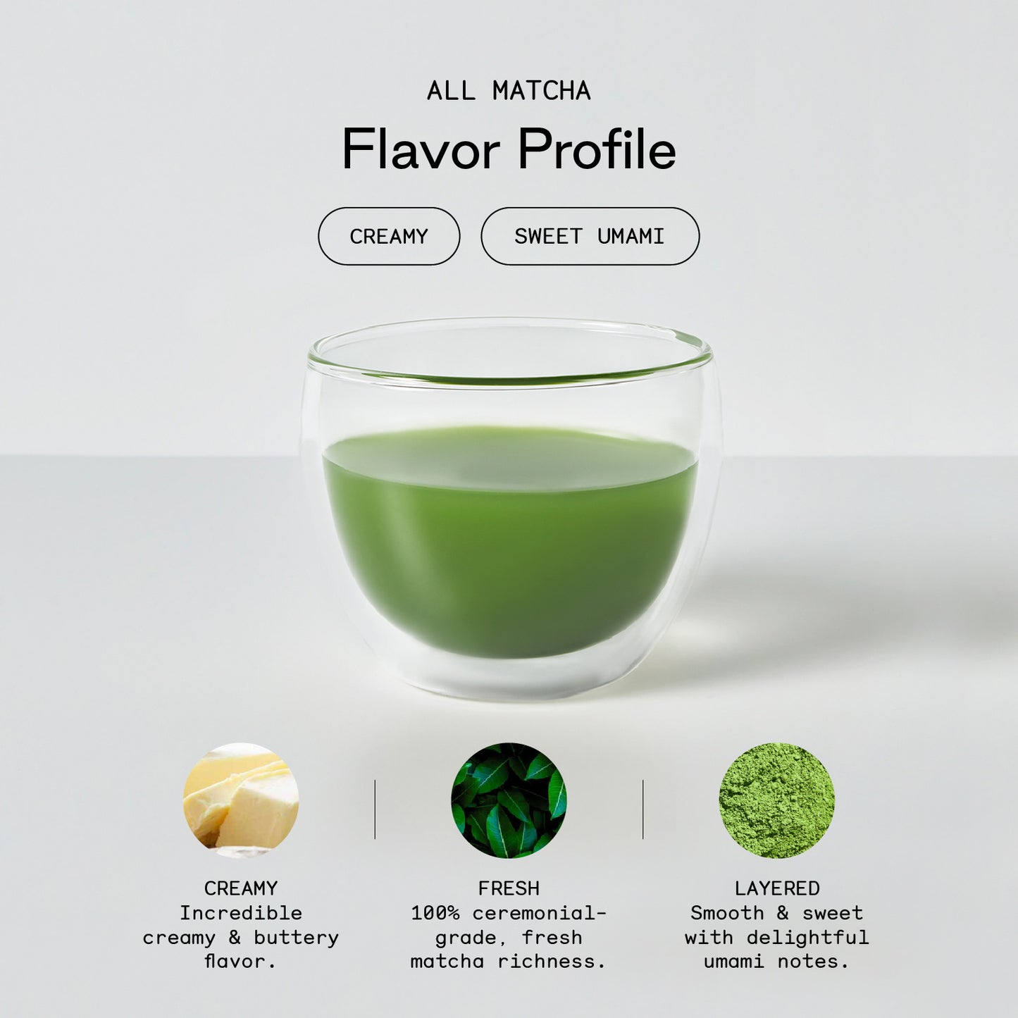 What does Matcha Taste Like + How to Use? – Fraser Tea